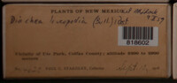 Image Associated With the Occurence